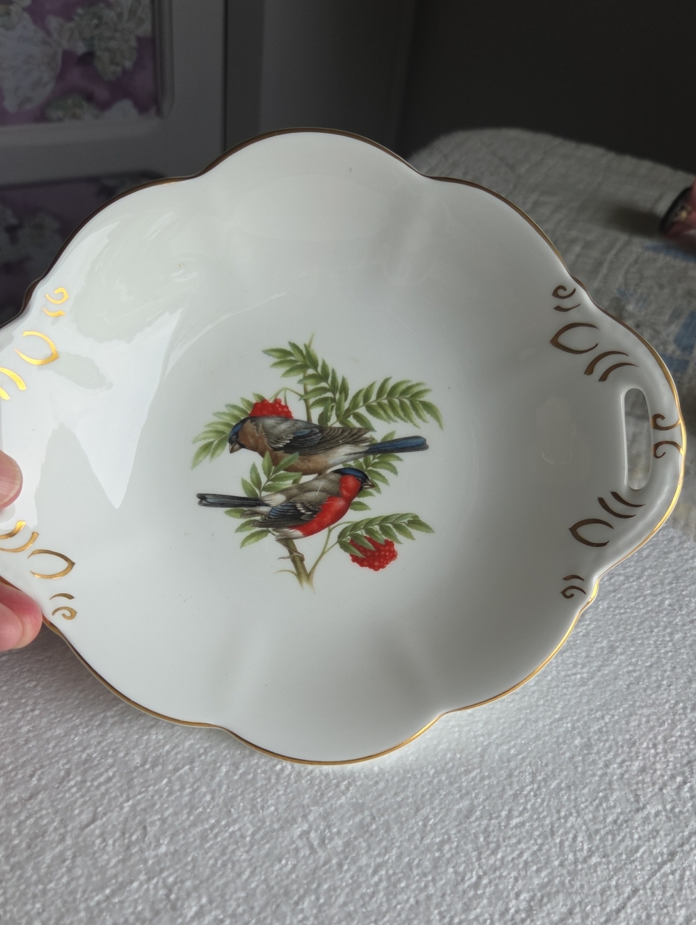 Coalport British Birds The Bullfinch Twin Handled Dish